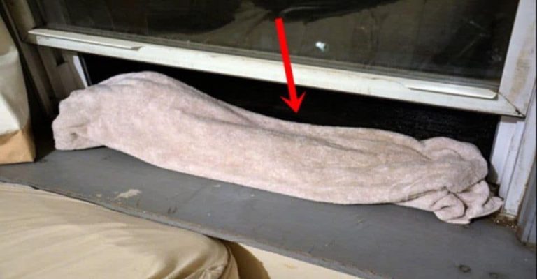 She Puts a Wet Towel on the Window Every Night, You Will do the Same After Reading This 