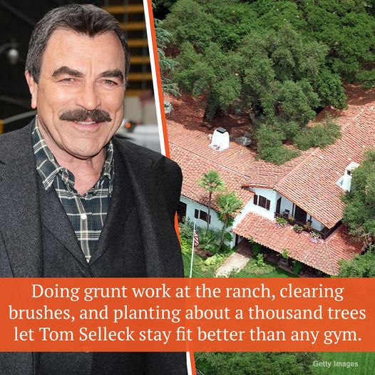 Tom Selleck, 77, is not afraid of aging, and he is comfortable with life’s dynamics and unwilling to change his views to fit any societal narrative or standard