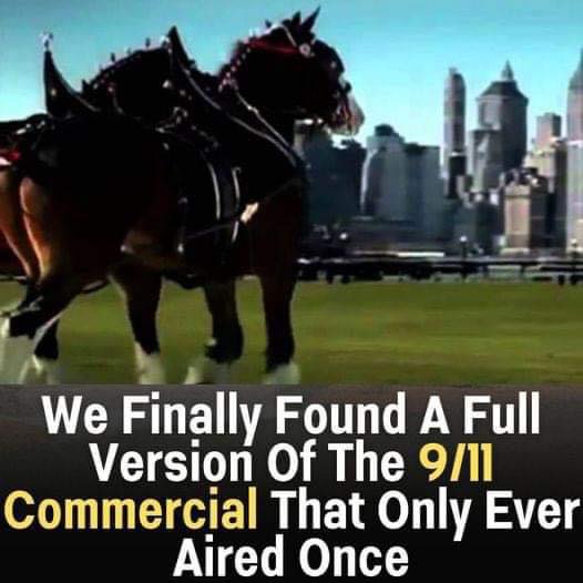 (VIDEO)This touching 9/11 Budweiser commercial paying tribute to our nation only aired once
