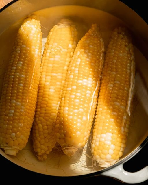 How Long Does It Take to Boil Corn on the Cob to Get Ideal Cooking?