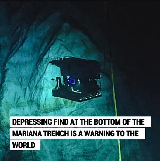 (VIDEO)Depressing find at the bottom of the Mariana Trench is a warning to the world