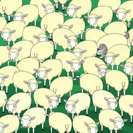 Only for smart people. Try to find the wolf hidden inside the flock of sheep