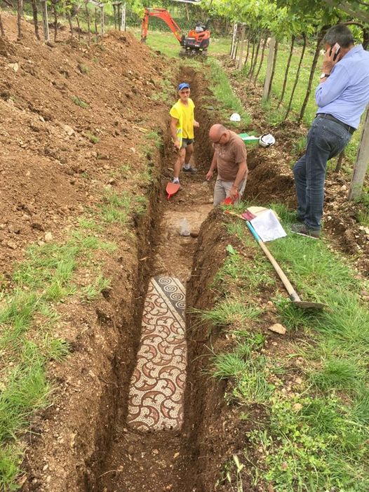 Under an Italian vineyard, an ancient Roman mosaic floor was discovered.