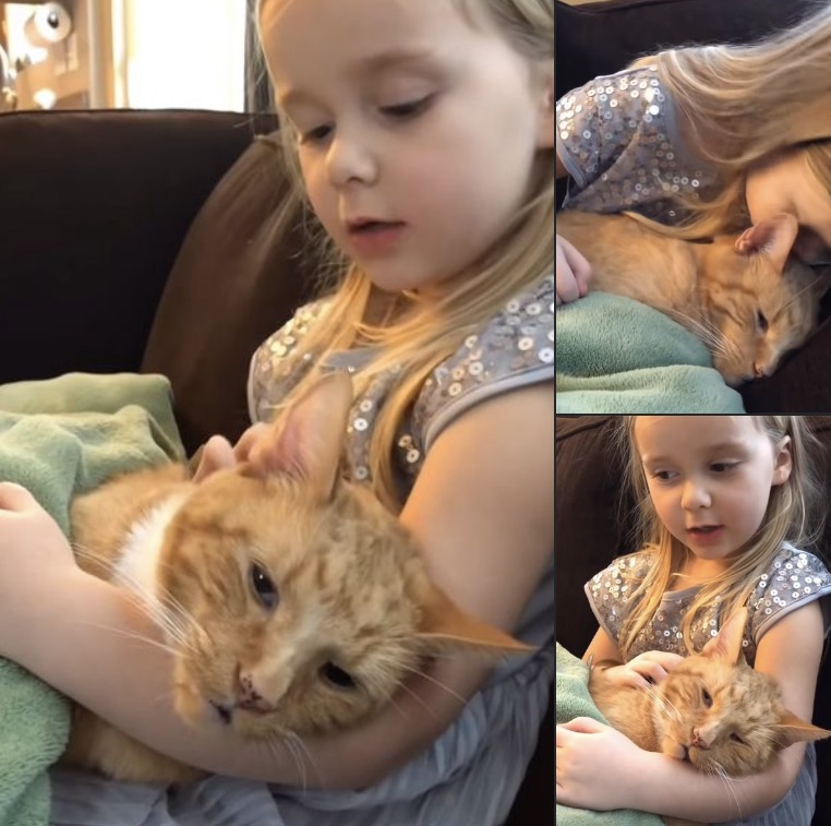 Little girl emotionally sings ‘You Are My Sunshine’ to dying cat